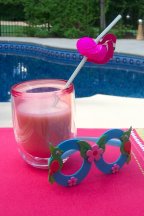 frozen blender drinks, frozen tropical drinks frozen blender drinks, frozen tropical drinks