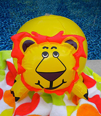 lion king party supplies lion king party supplies