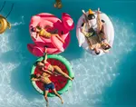 3 adults in large animal pool floats