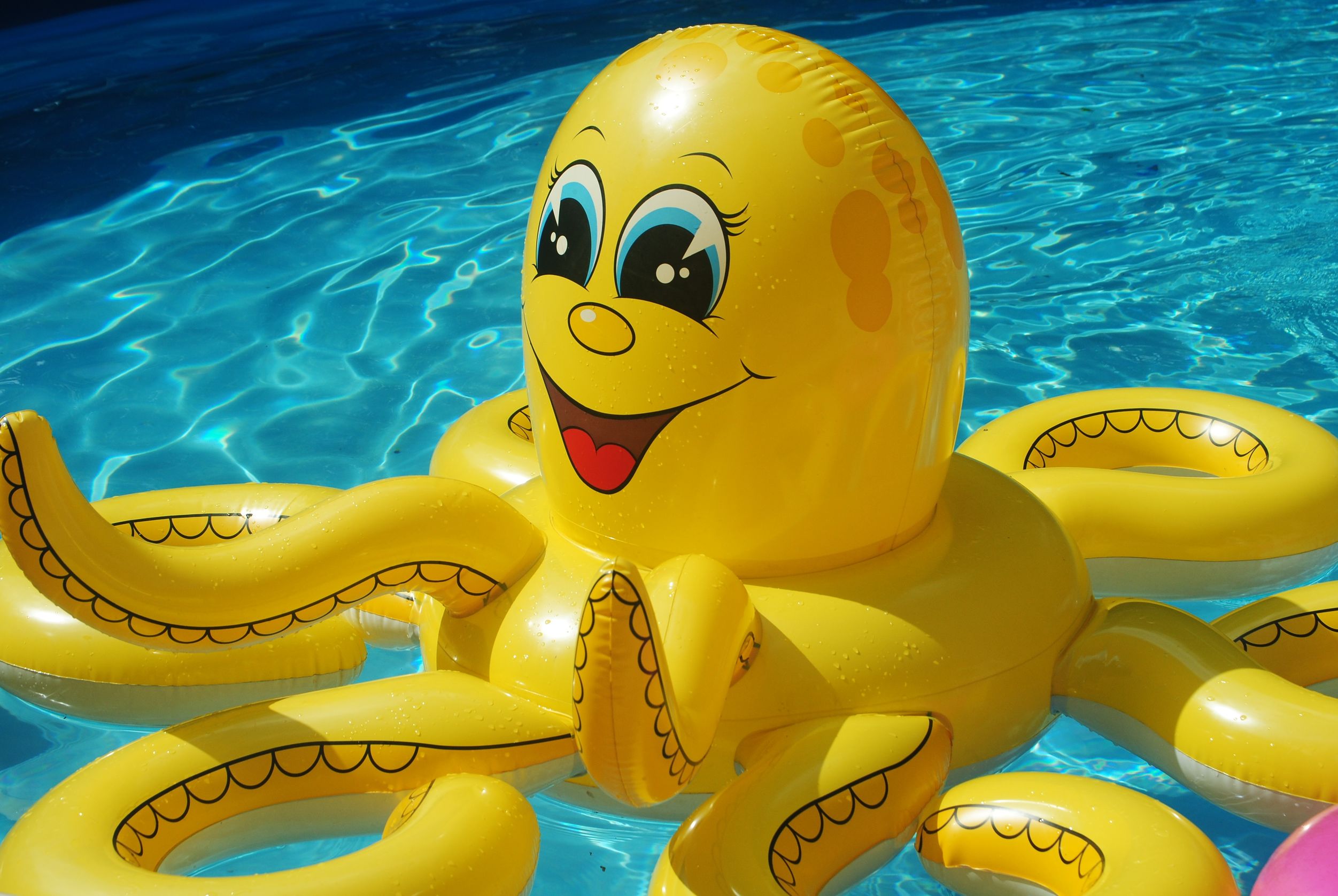 swimming pool toys and floats