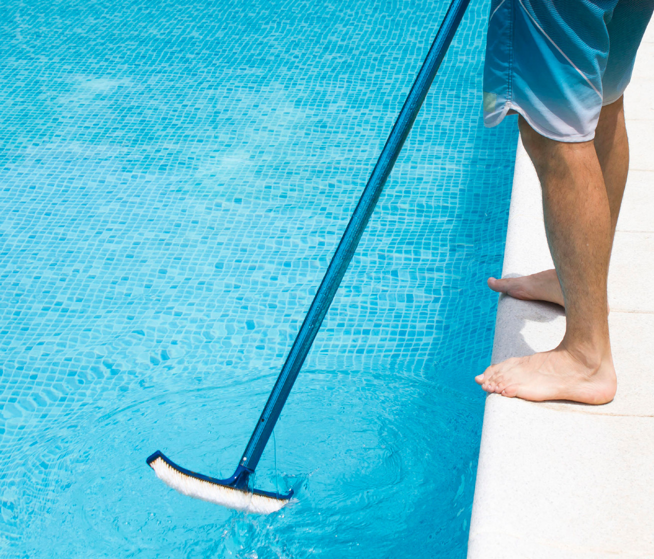 swimming pool brush