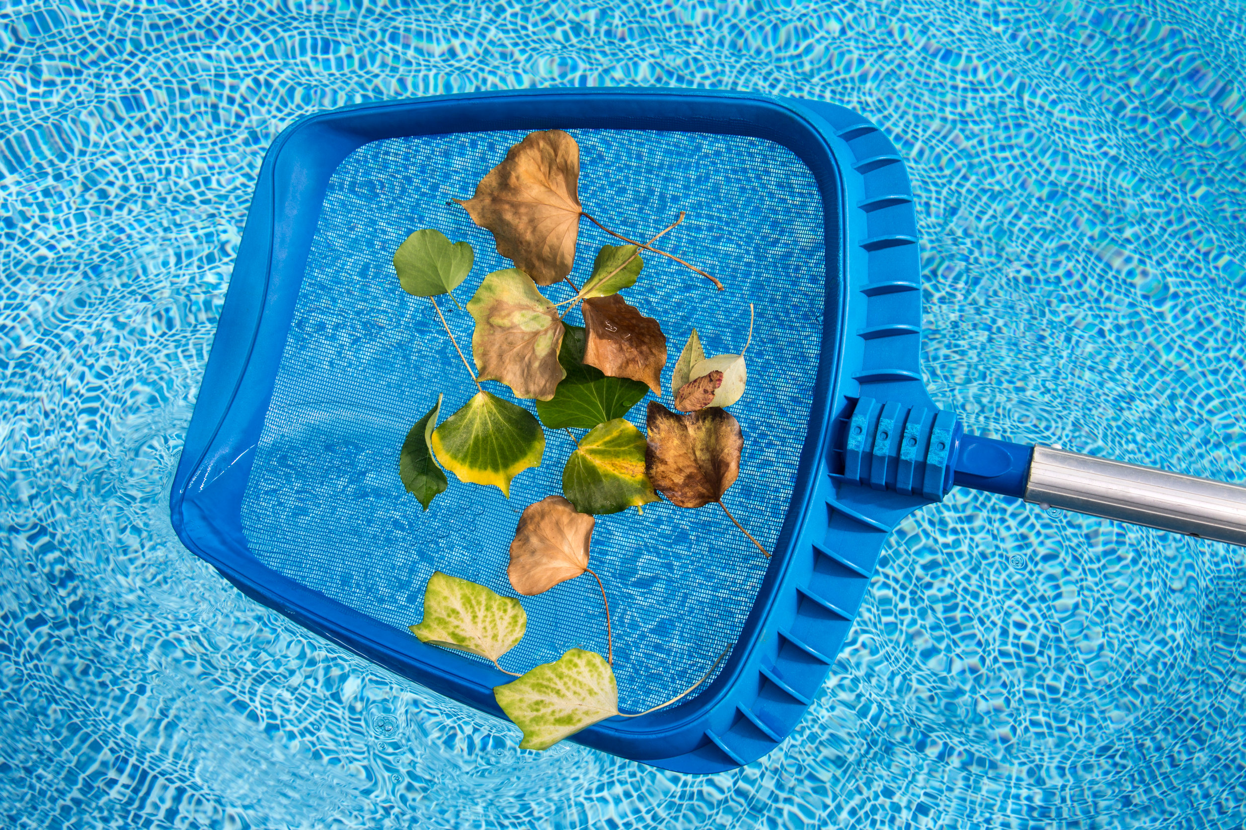 pool leaf skimmer