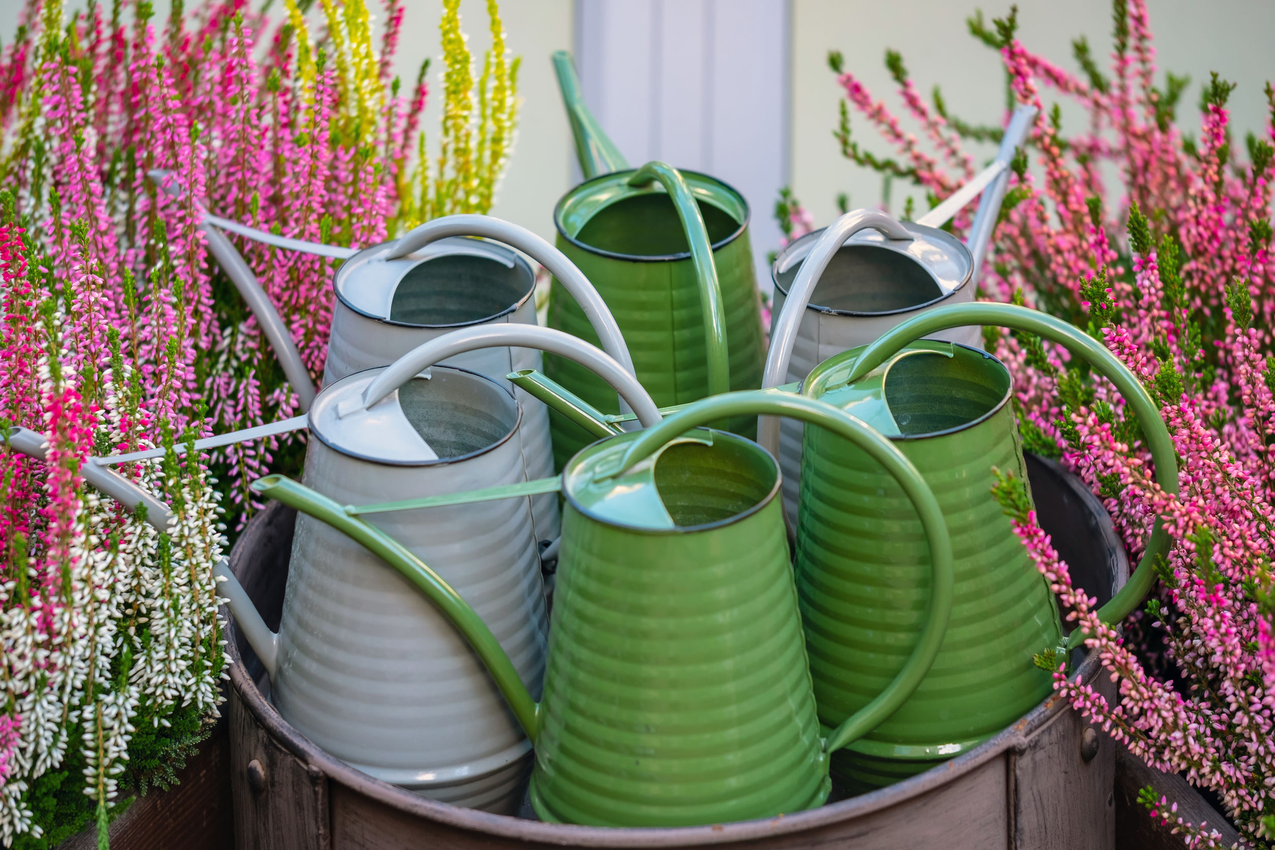 garden party favors