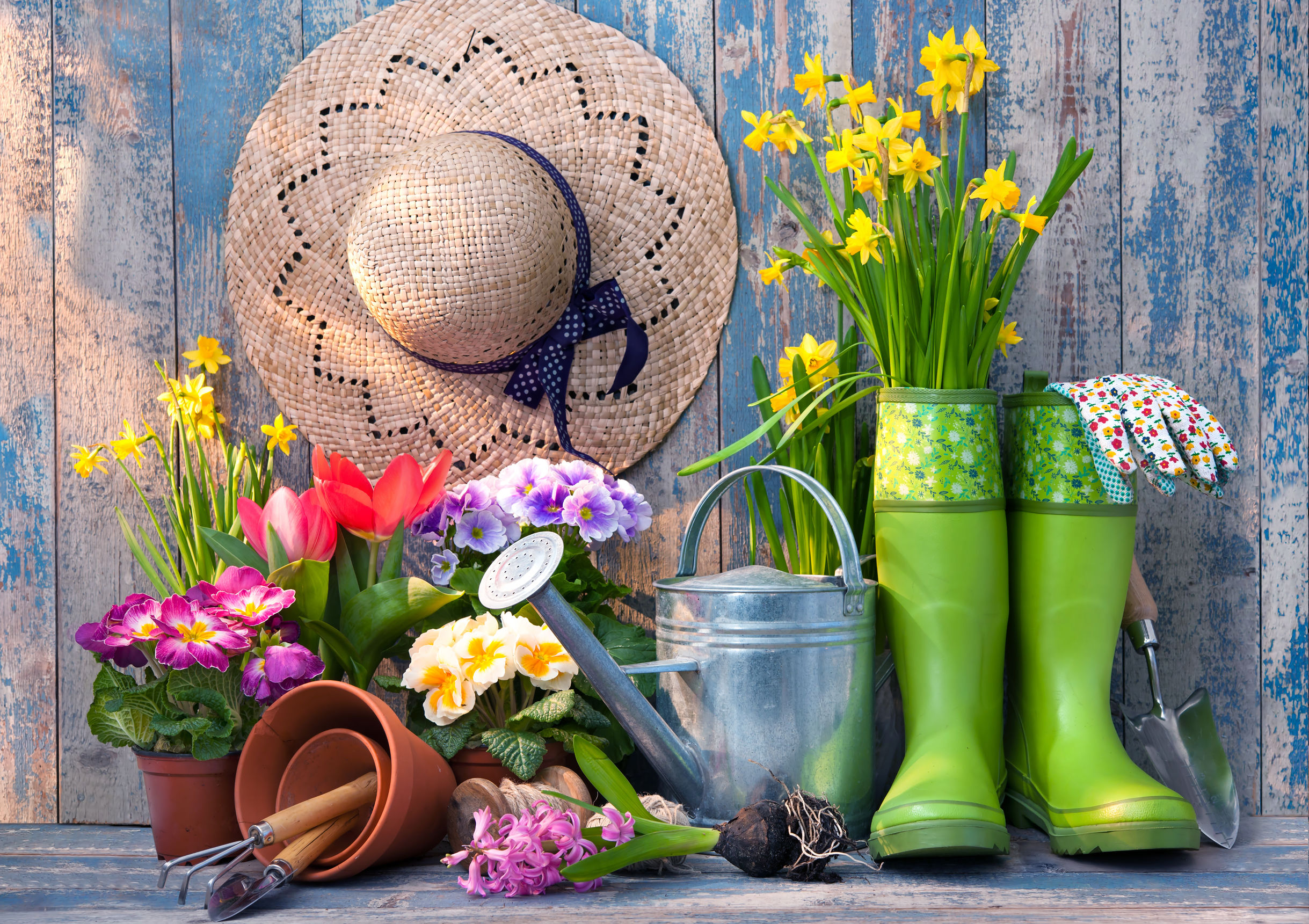 garden party supplies decor 123