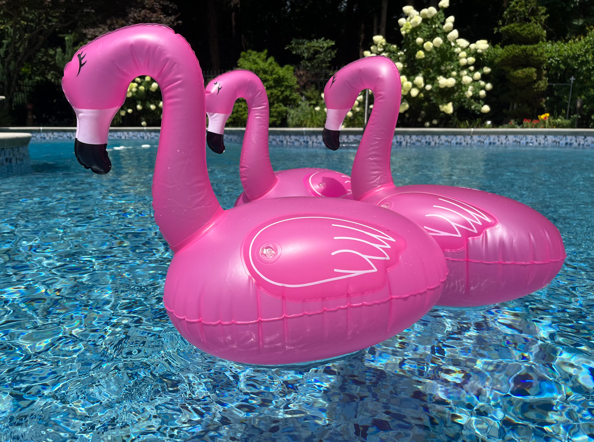 3 floating flamingos