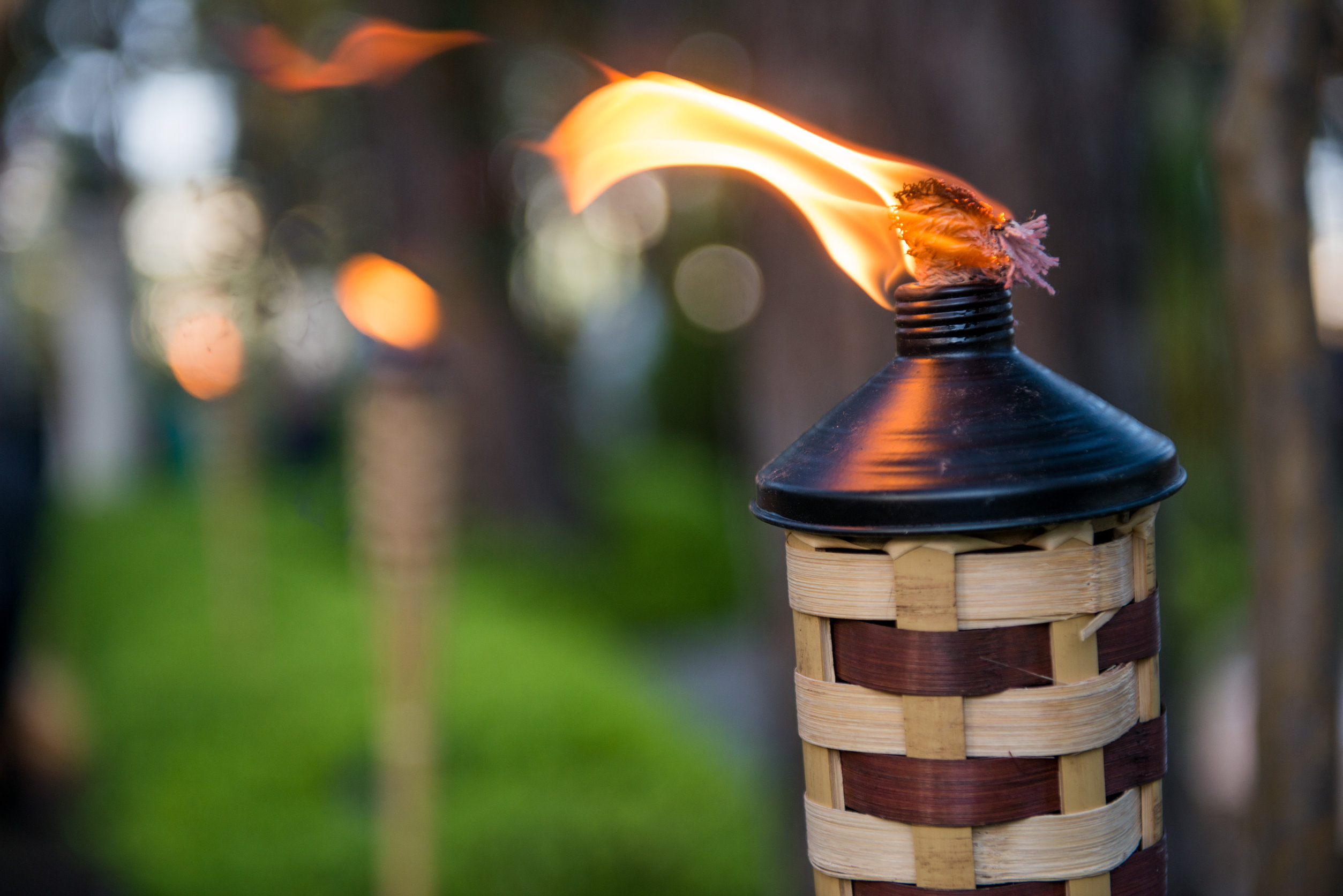 garden party decorations and lighting