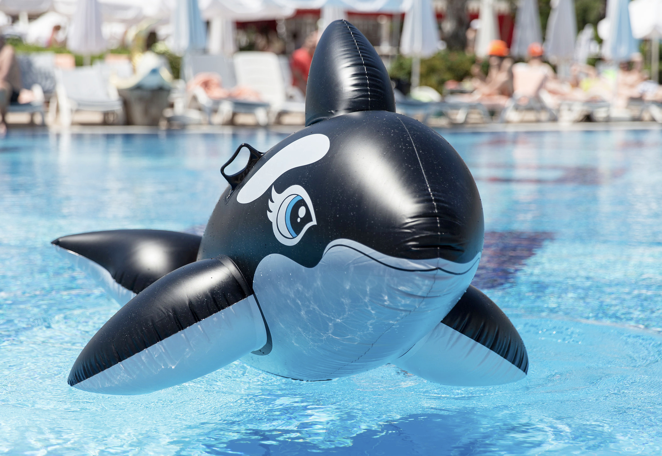 inflatable whale pool float