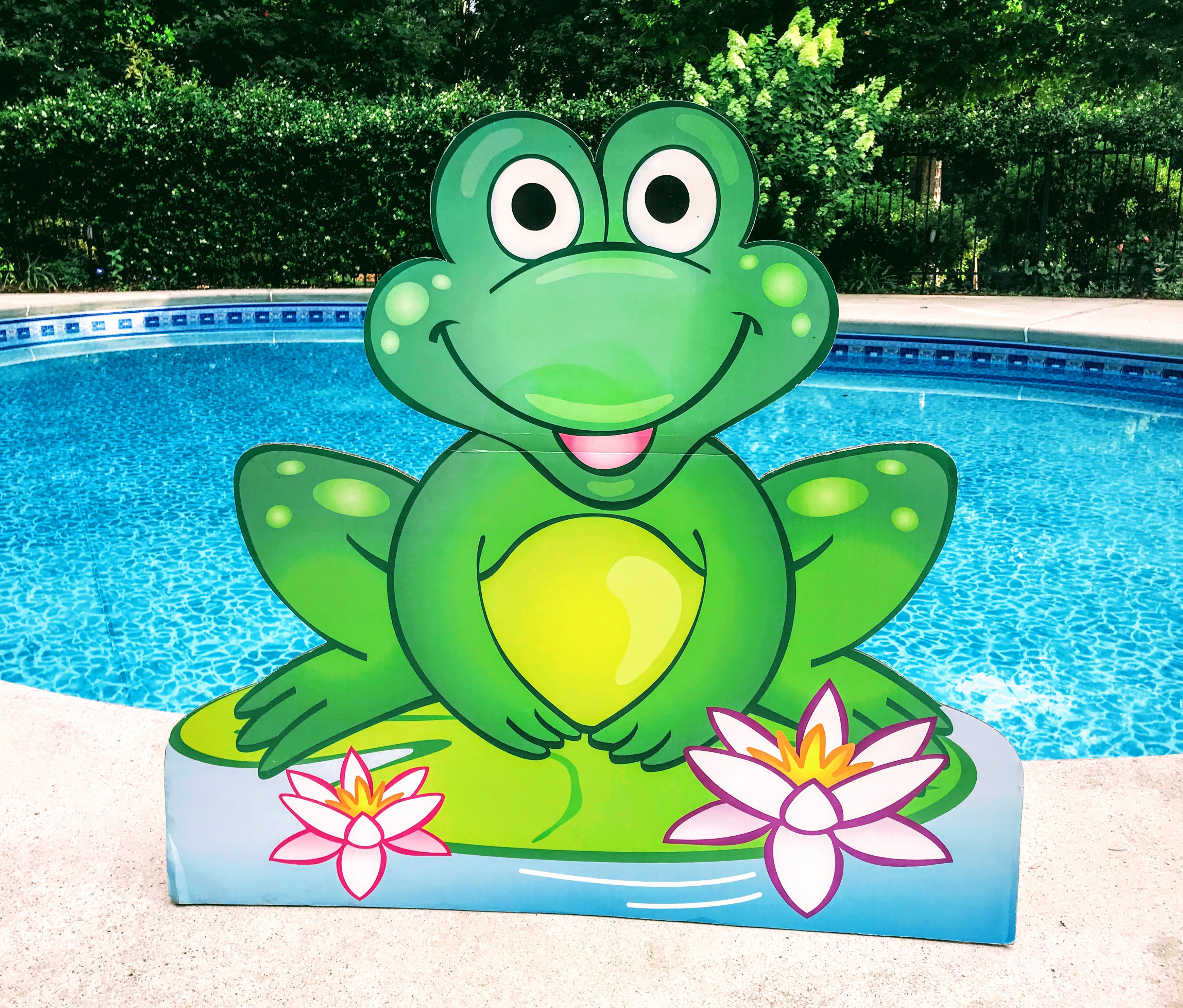 frog decoration by pool