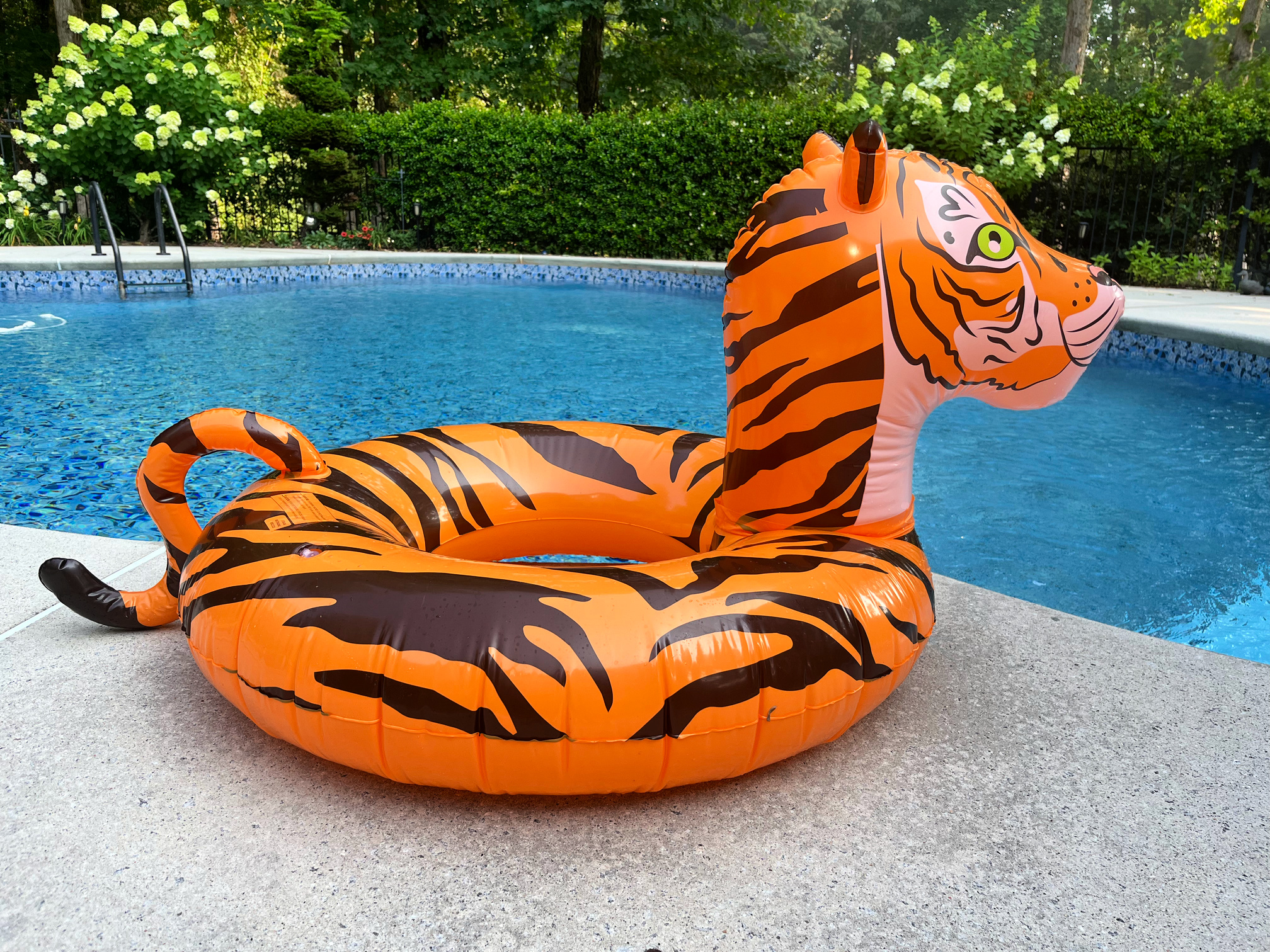 tiger pool float
