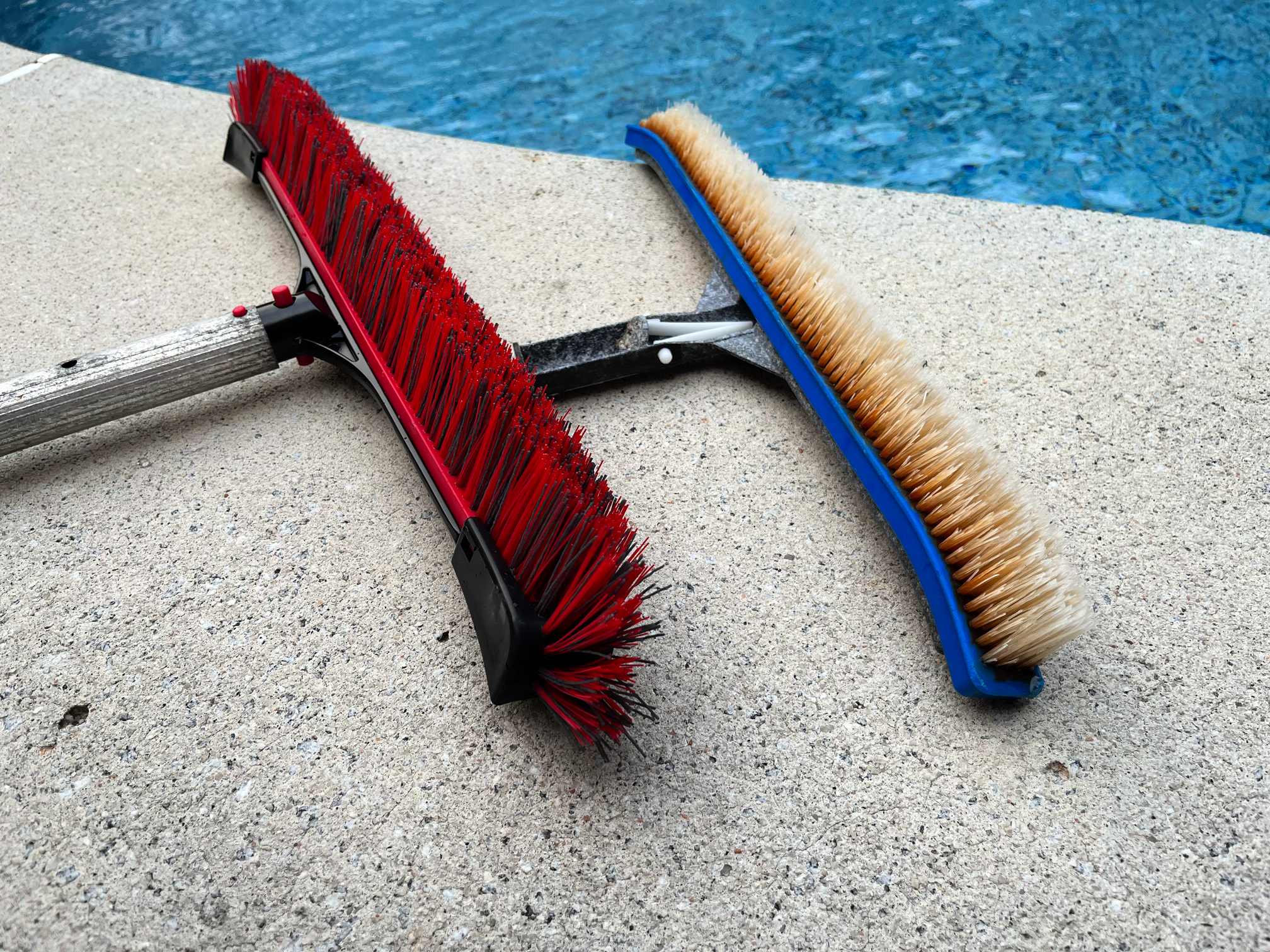 swimming pool brush