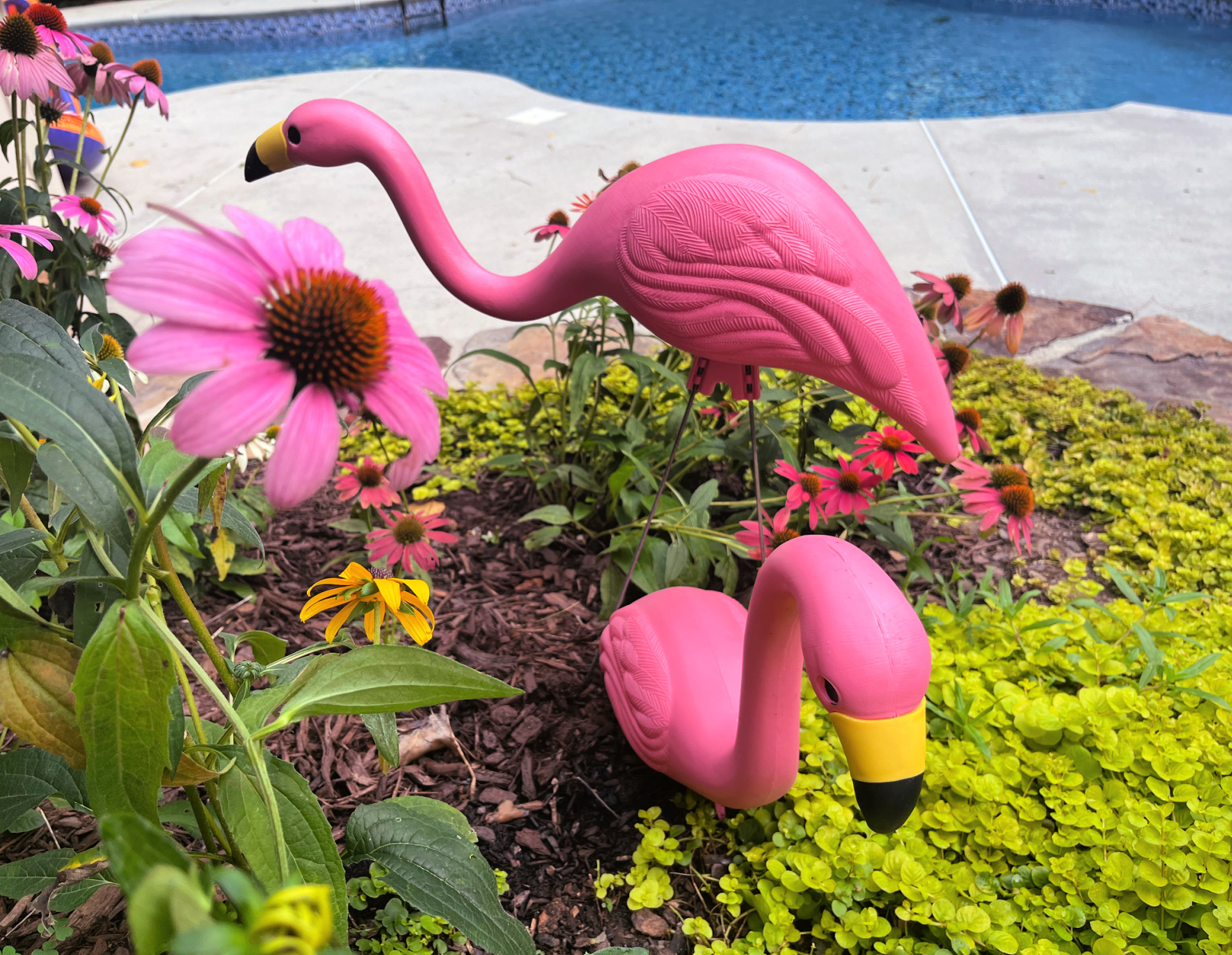 two yard pink flamingos