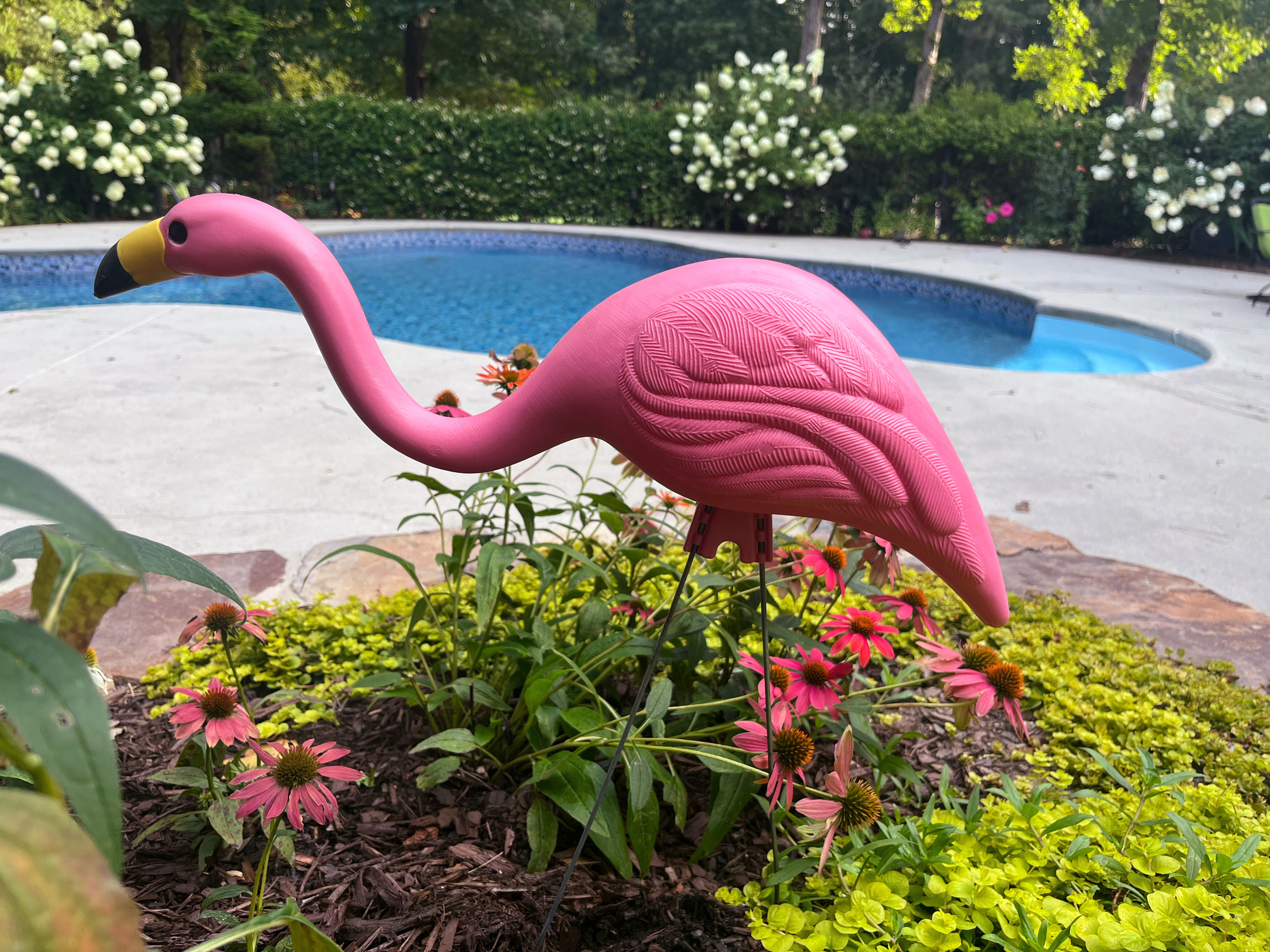 flamingo pool party