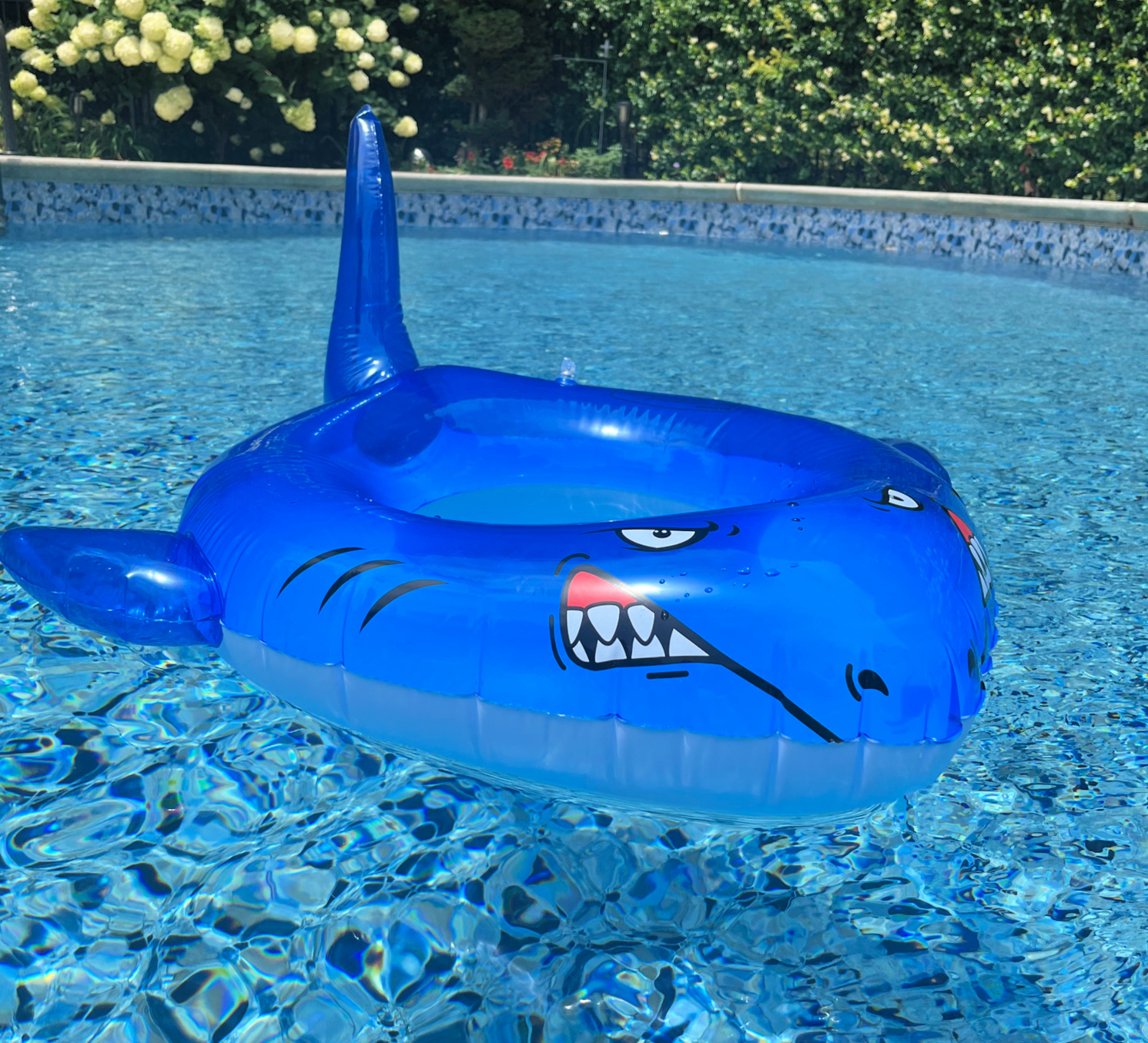 shark swim ring