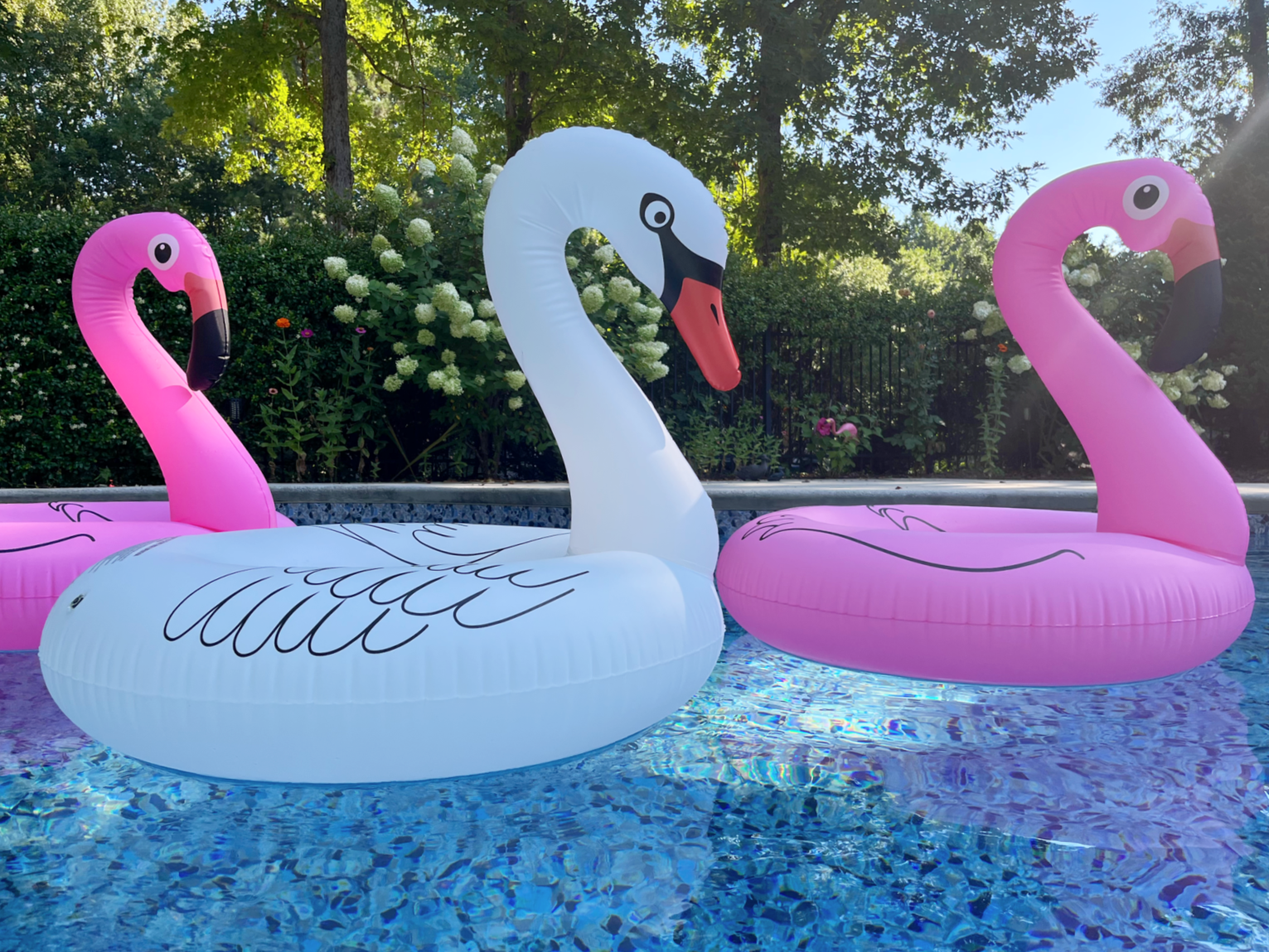 floating pool decorations