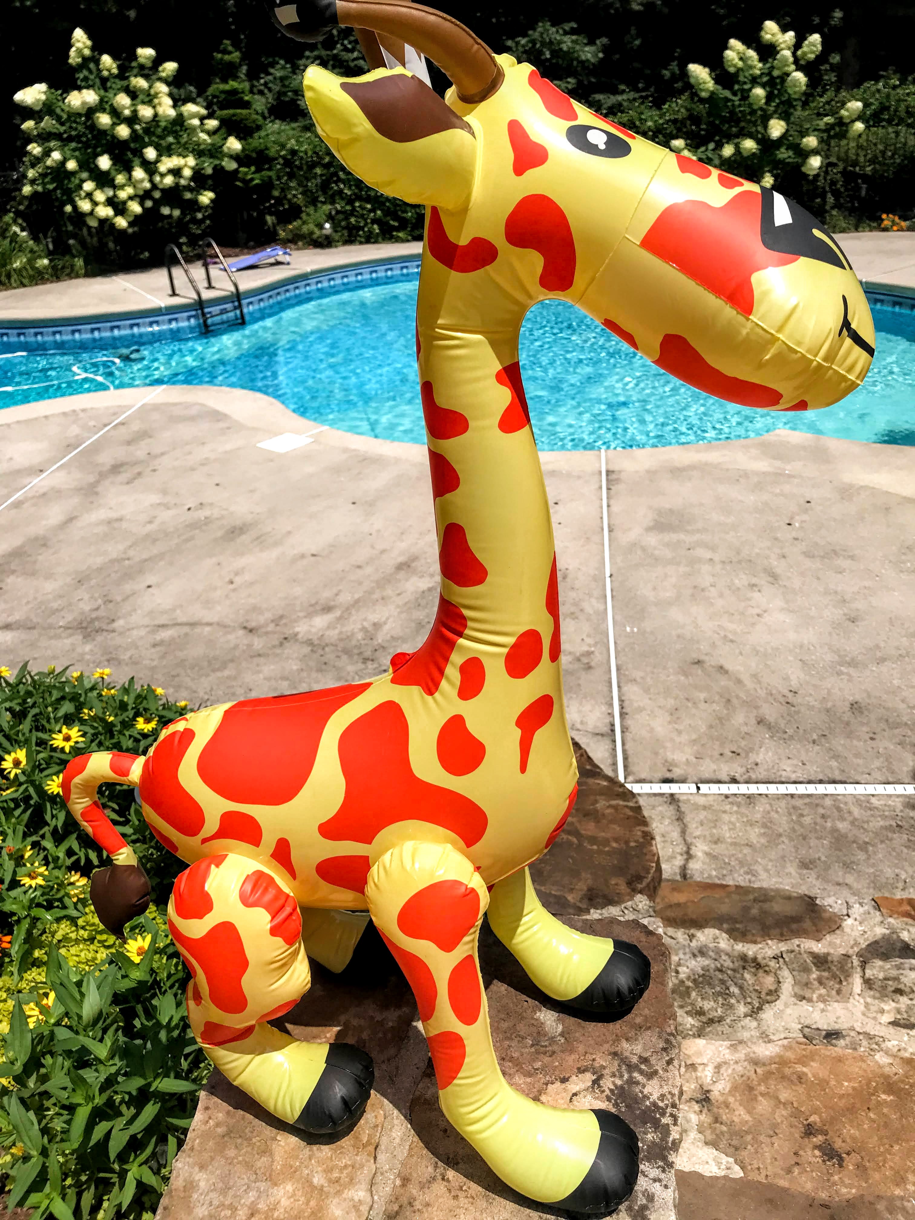 jungle themed pool party decorations