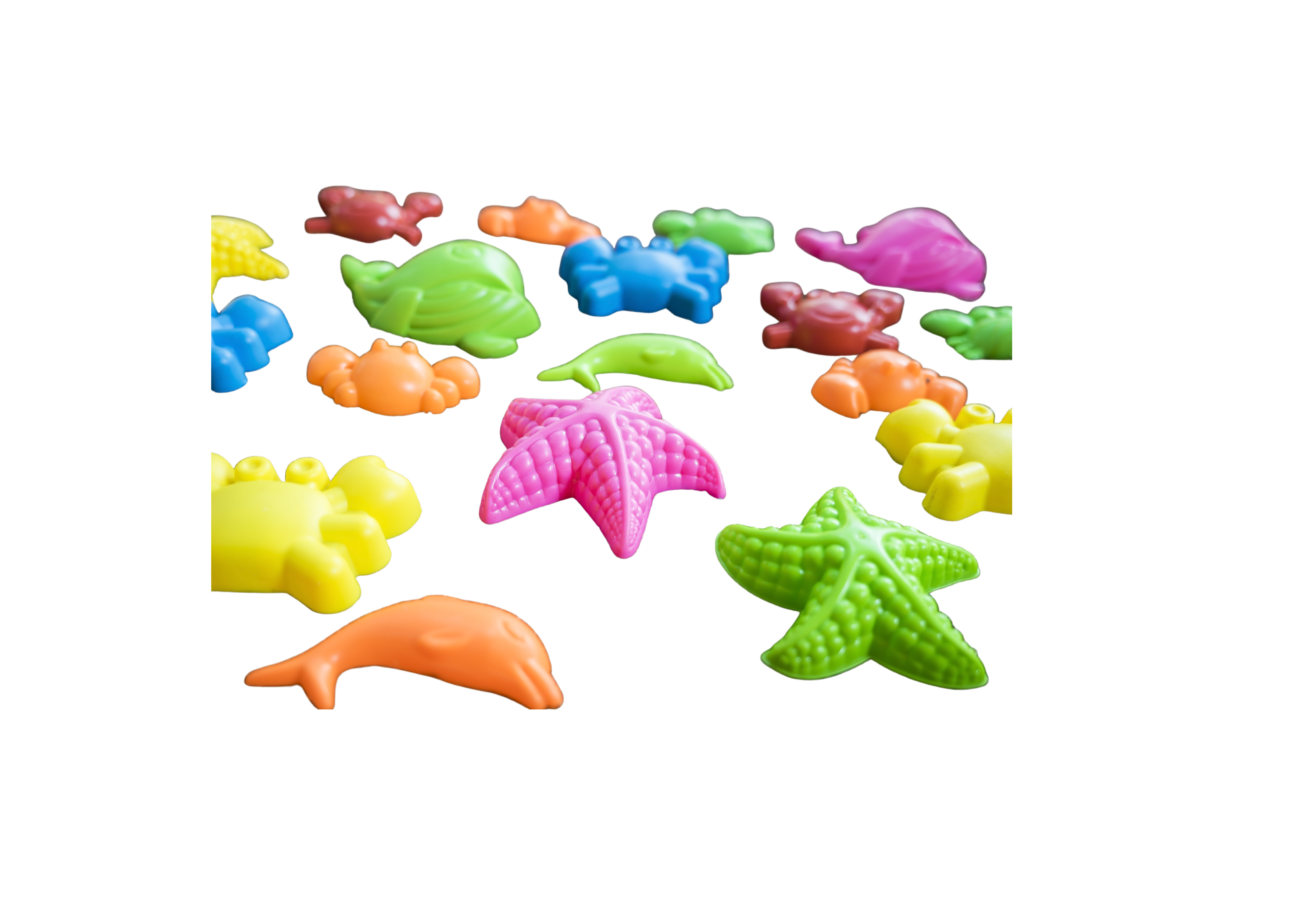 starfish toys