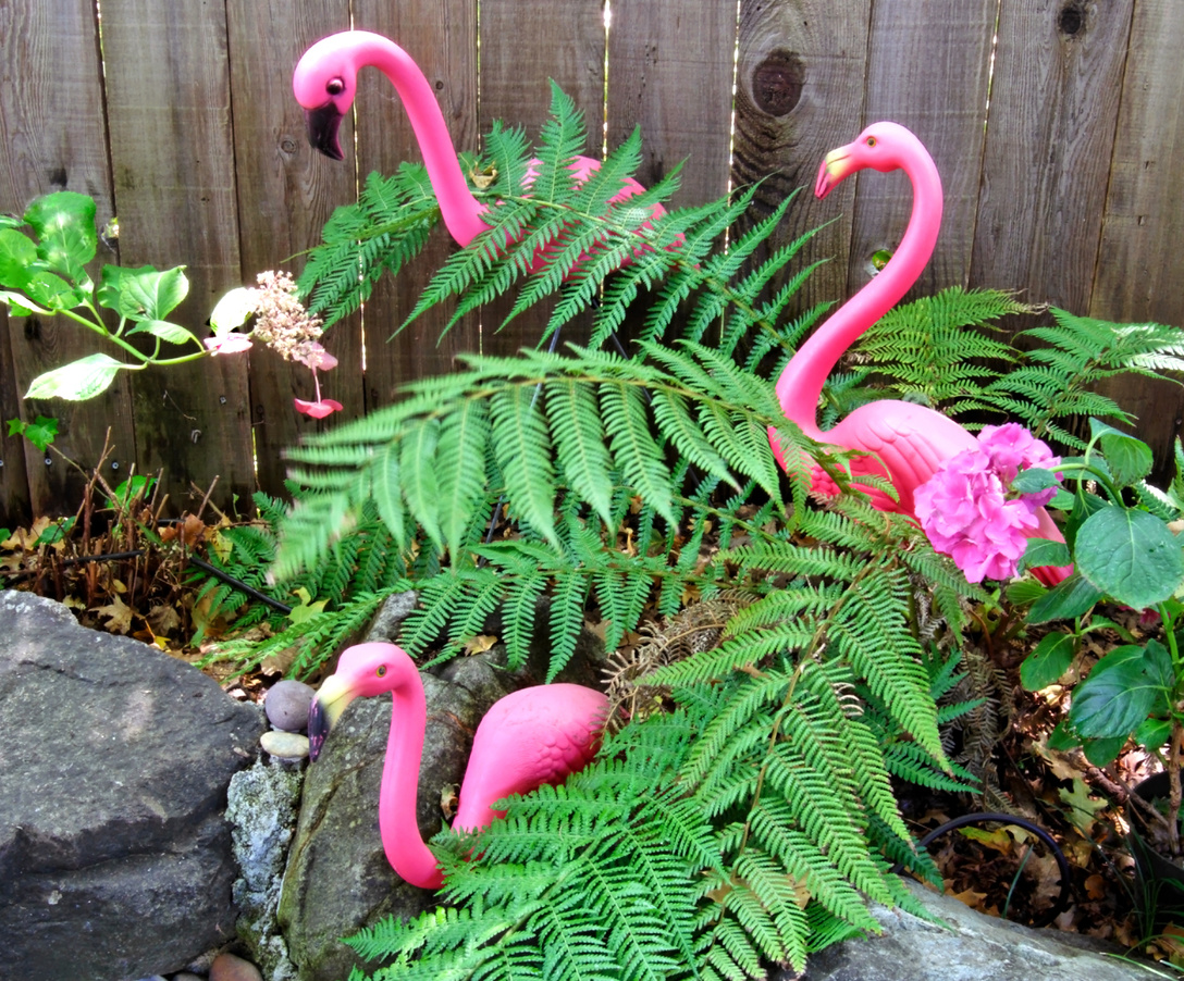 flamingo pool party