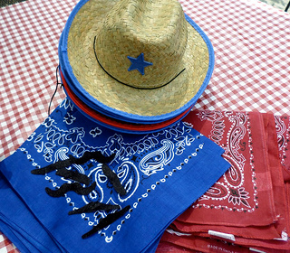 western party ideas