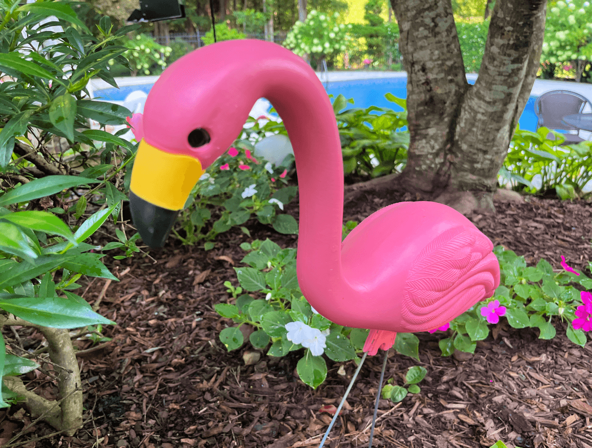 flamingo pool party decorations