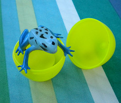 pool party games for kids