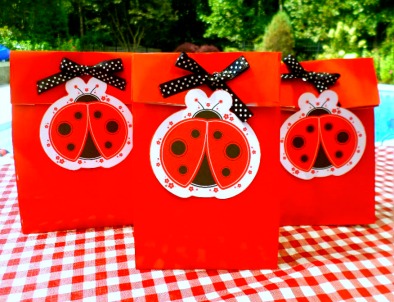 ladybug party favors