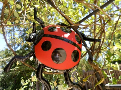 ladybug party decorations