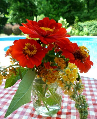 ladybug party decorations