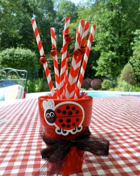 ladybug party ideas