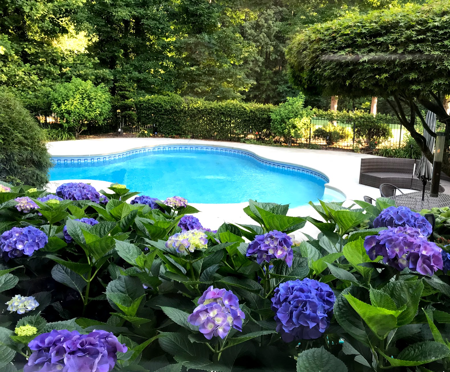 swimming pool landscaping