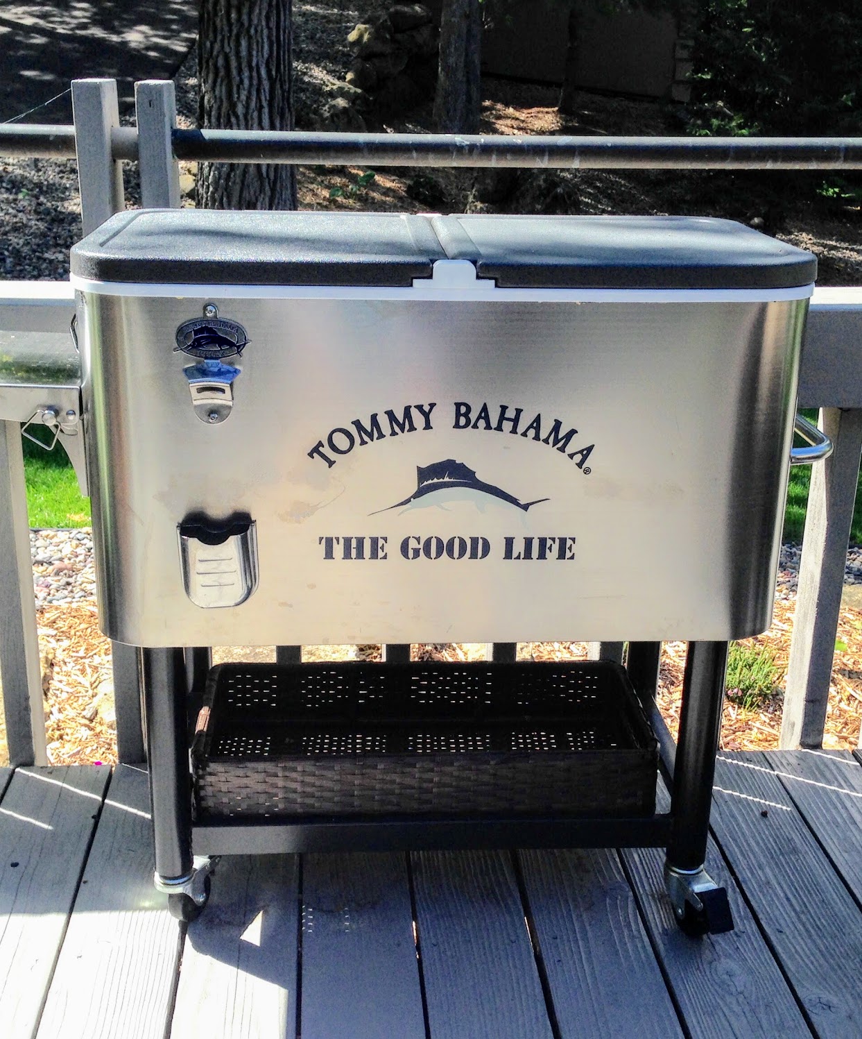 rolling beverage cooler for adult pool party