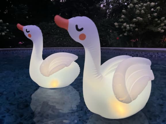two solar swan floating pool lights in swimming pool