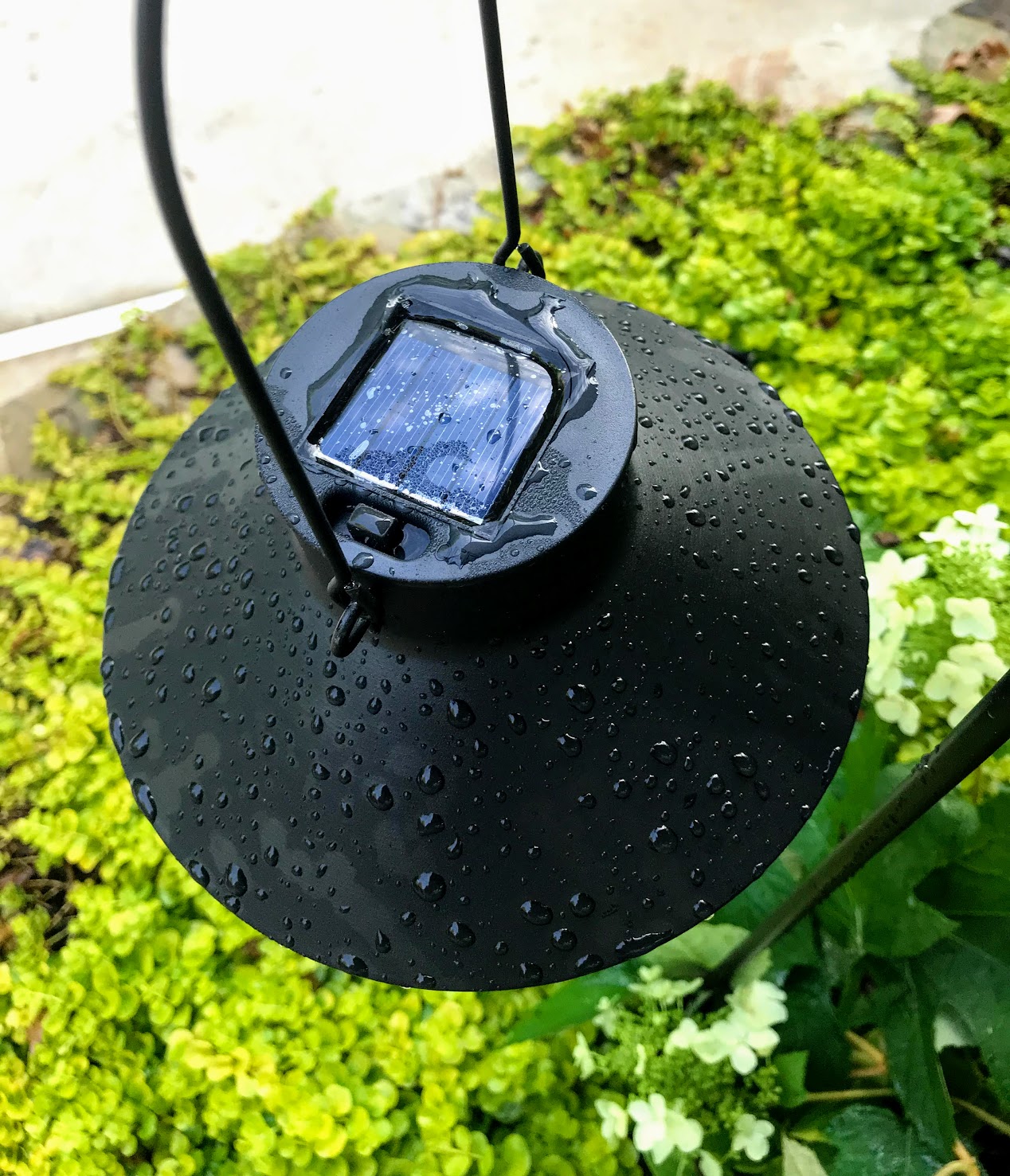 hanging solar lights