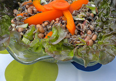 cold salad recipes