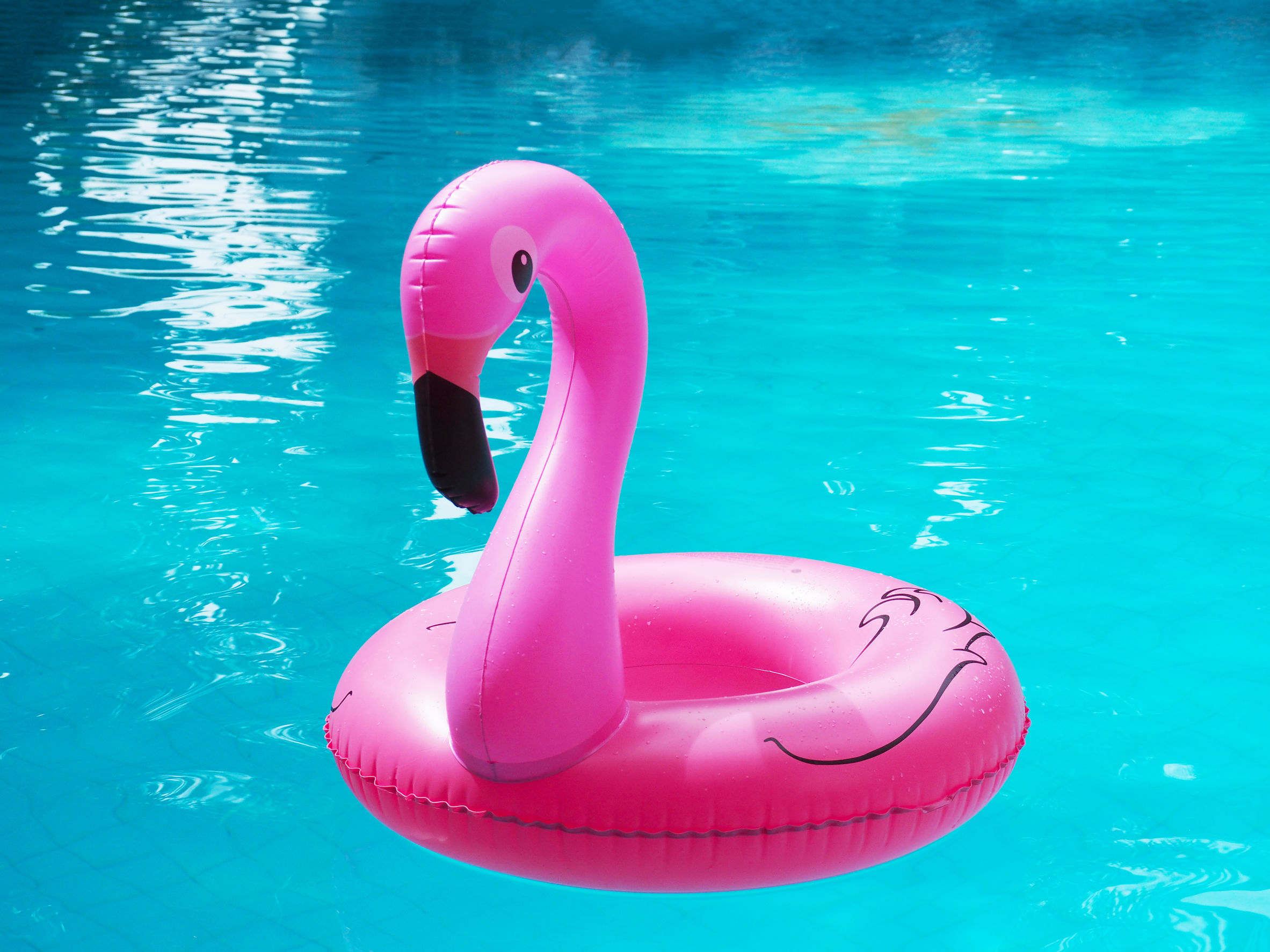 flamingo pool float