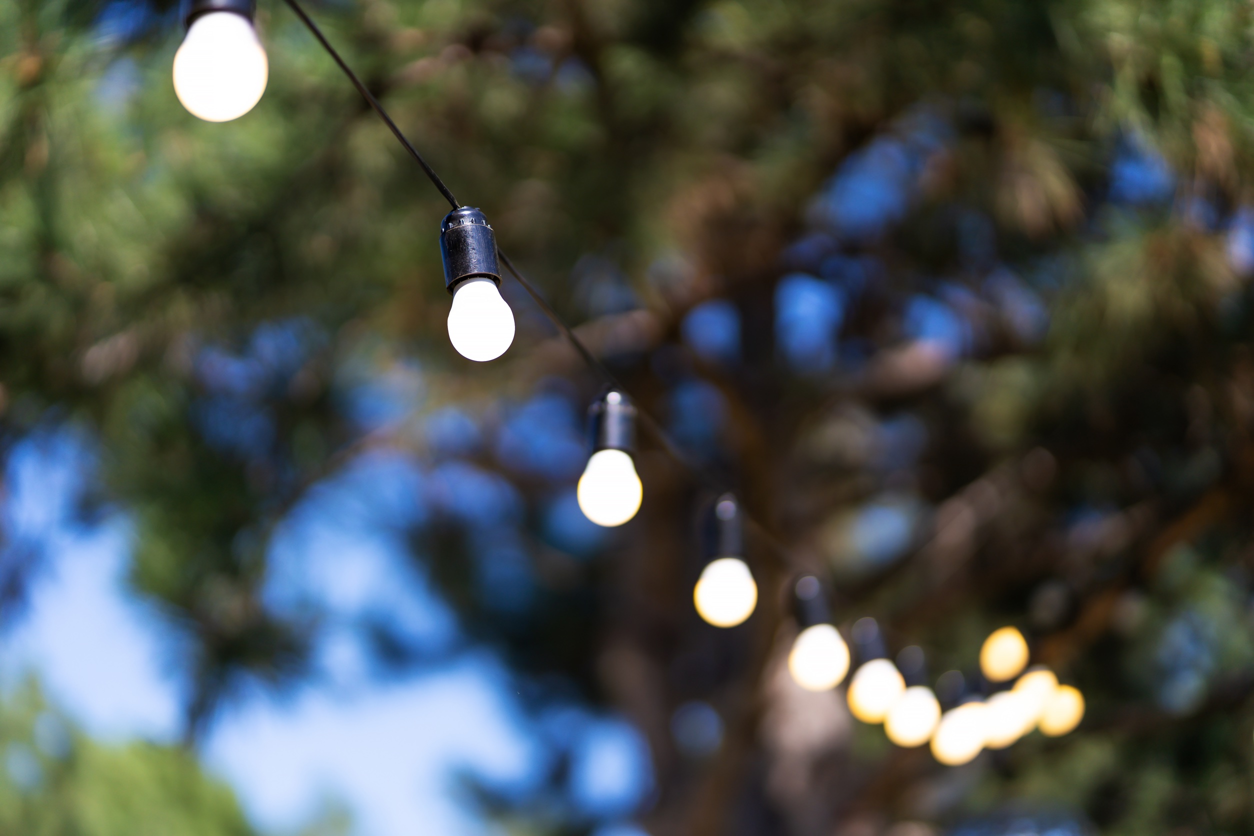 outdoor party lights