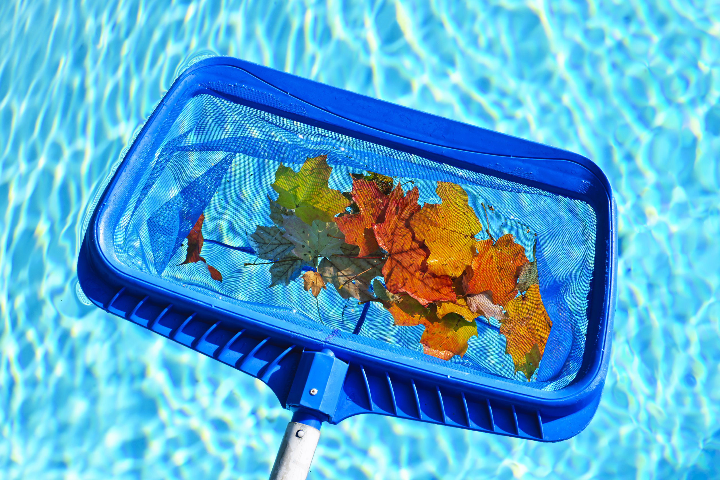 pool leaf skimmers