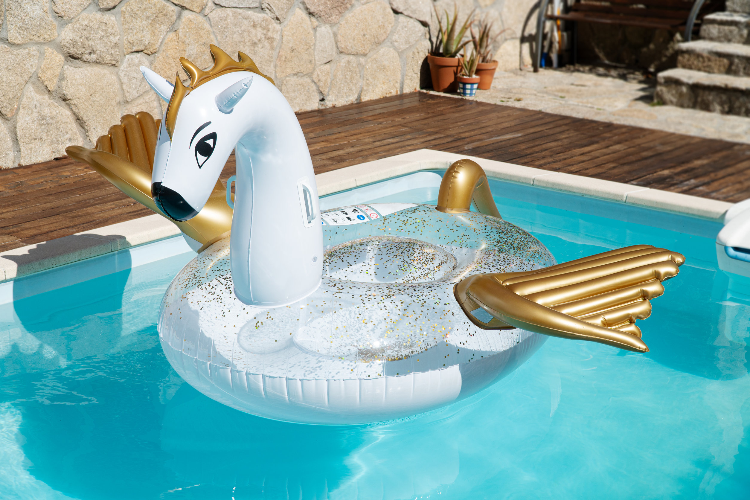 dragon pool float