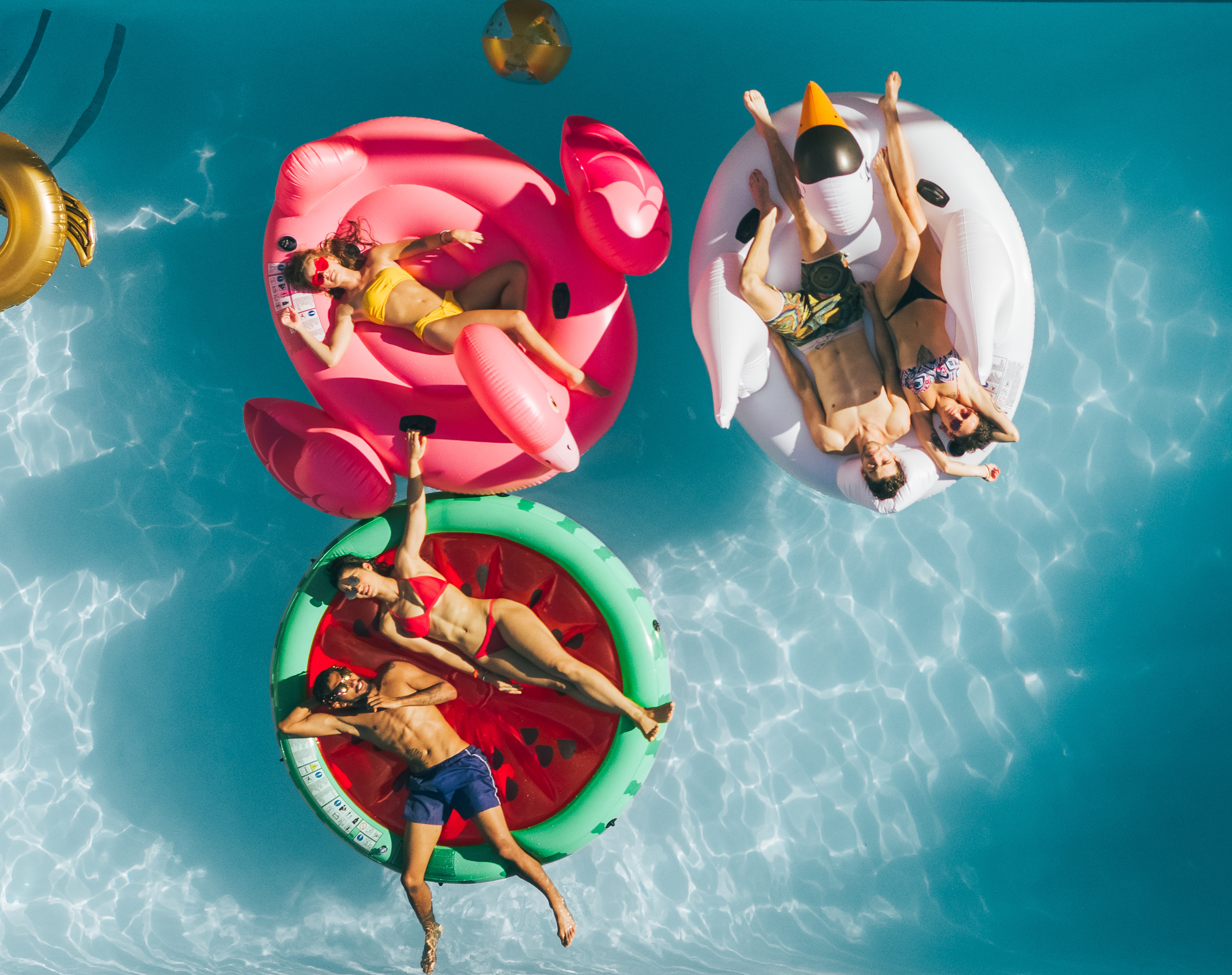 3 adults in large animal pool floats