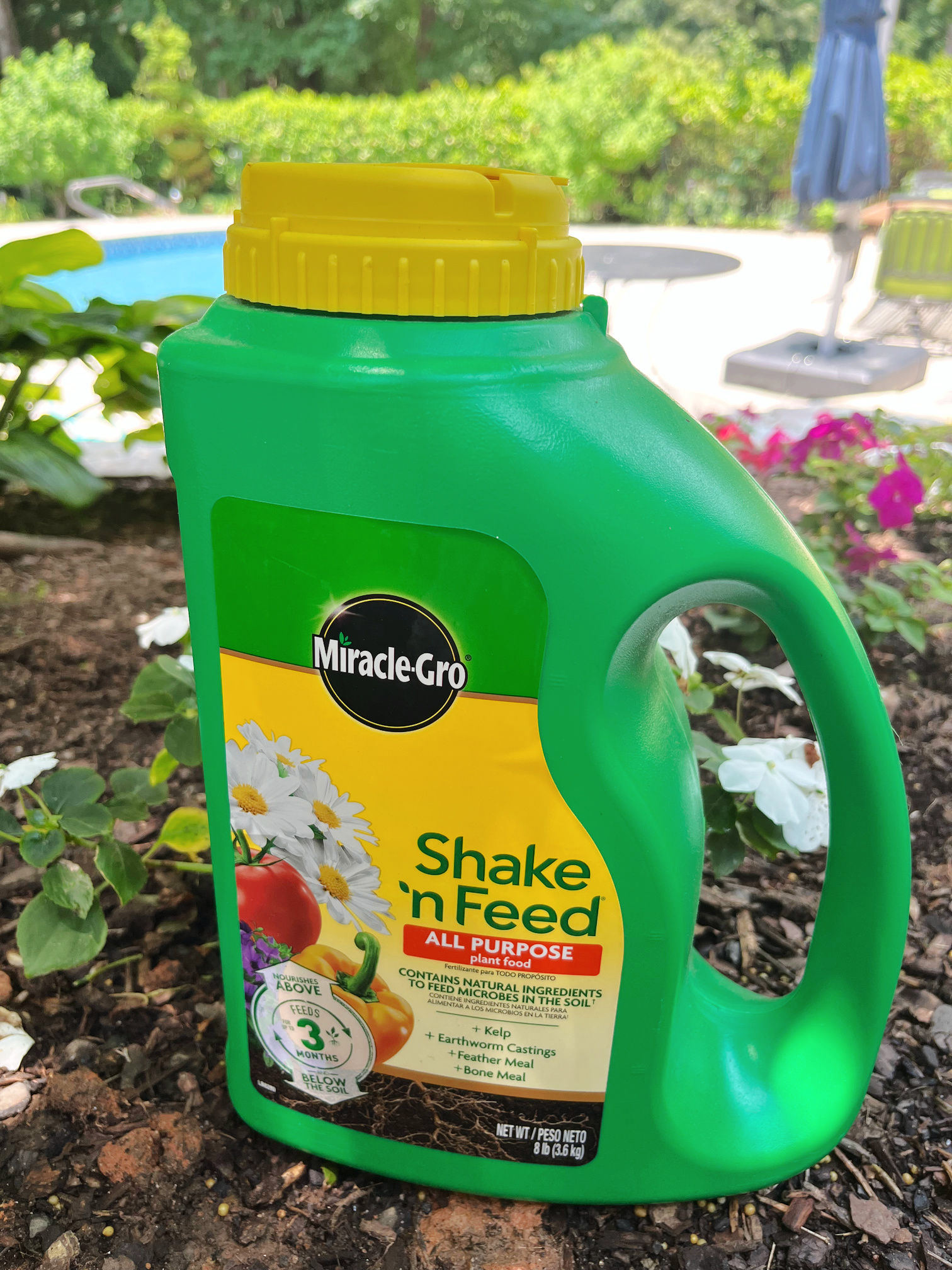 miracle grow shake n feed