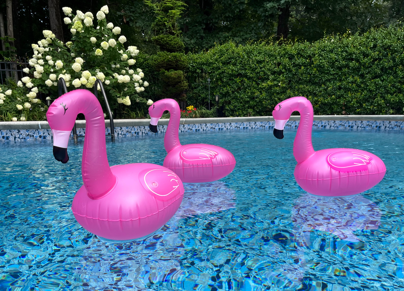 flamingo pool party