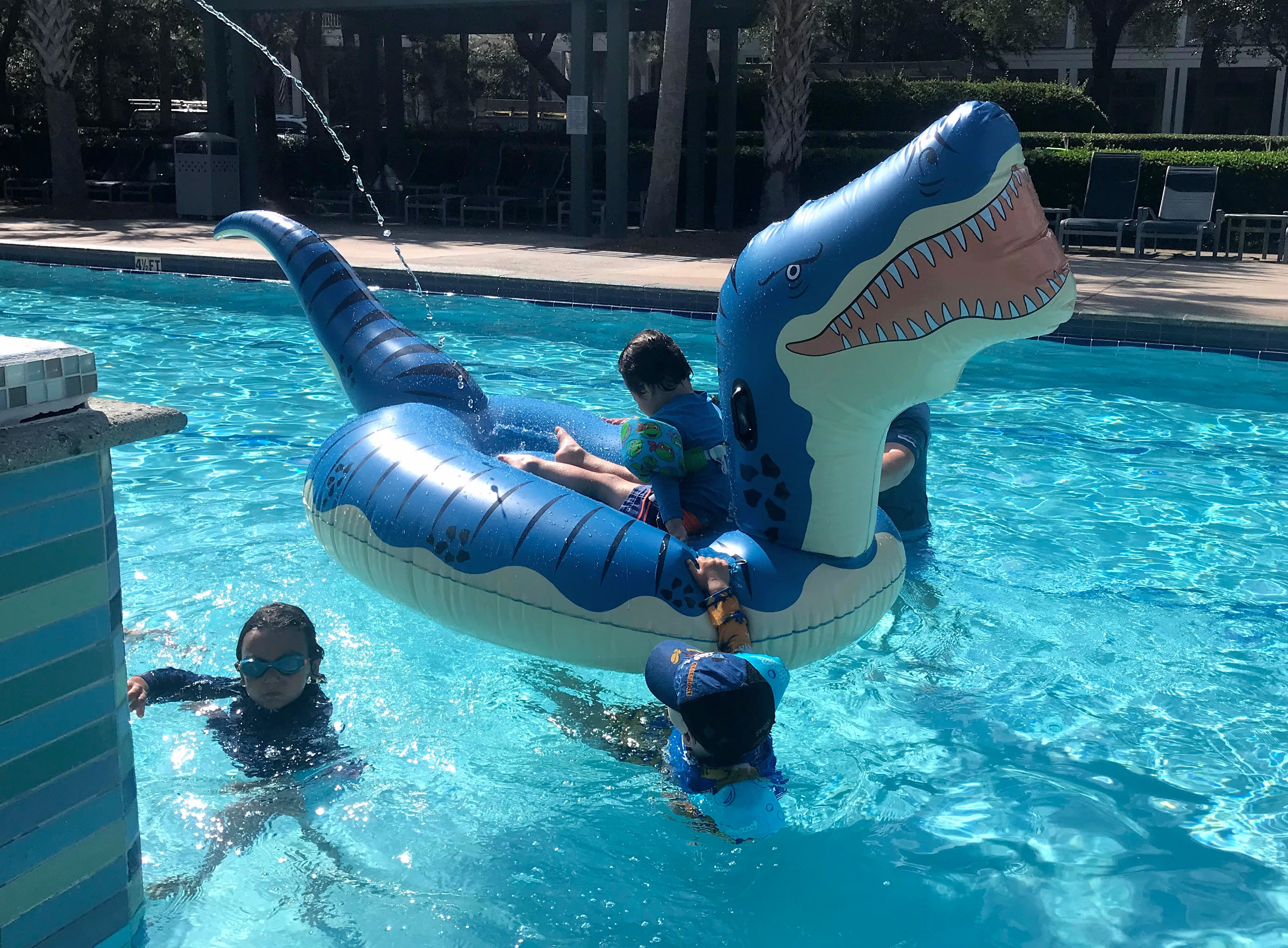 dinosaur pool float