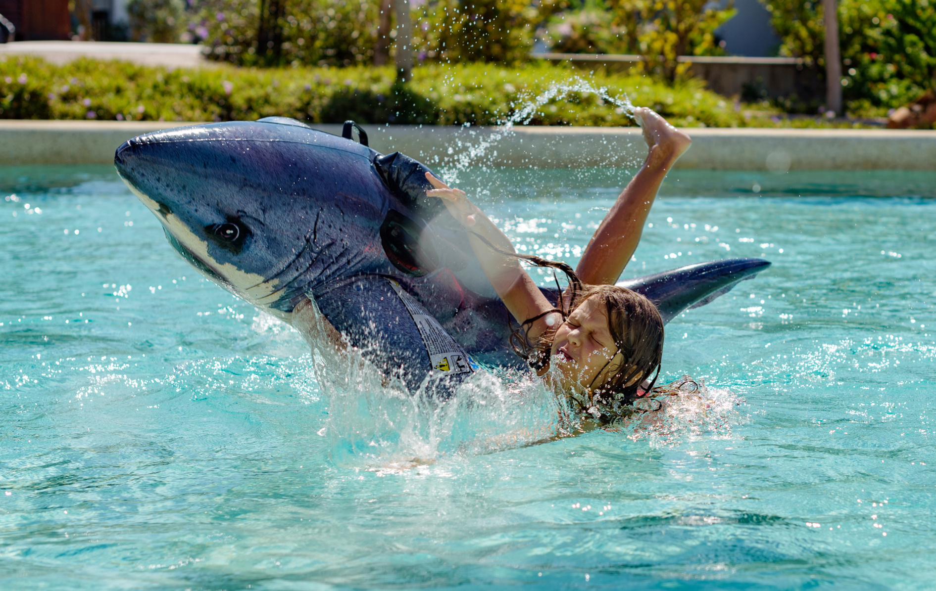 shark pool float