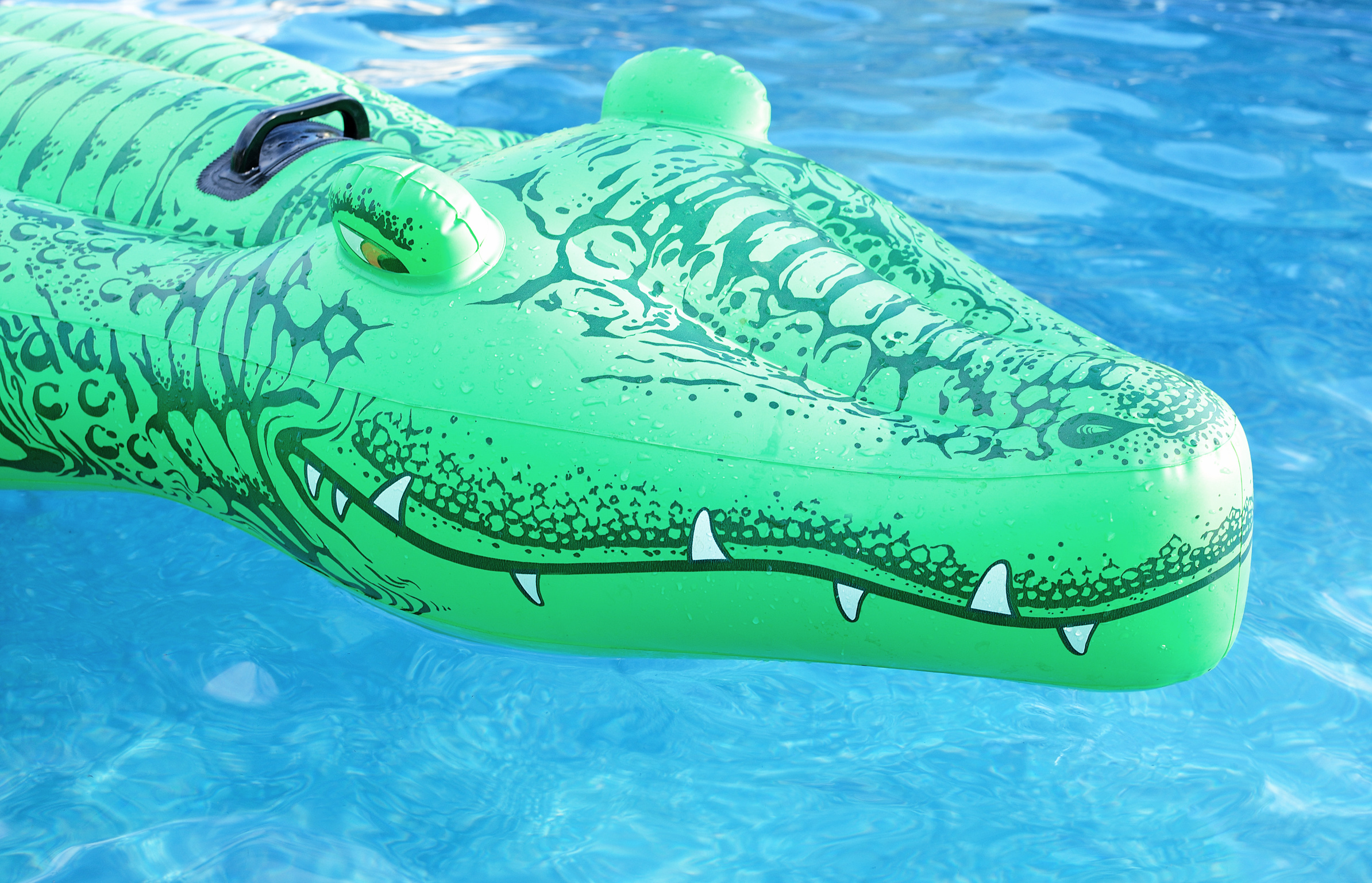 alligator pool float