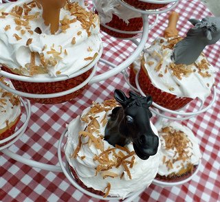 pool party ideas for kids with a western theme