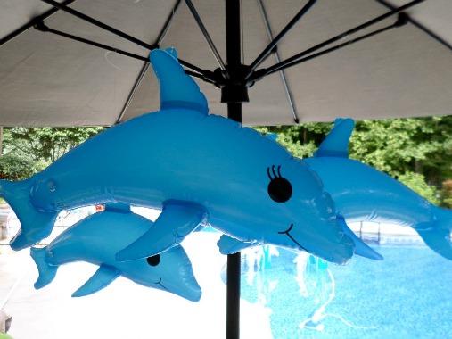 pool party decorations