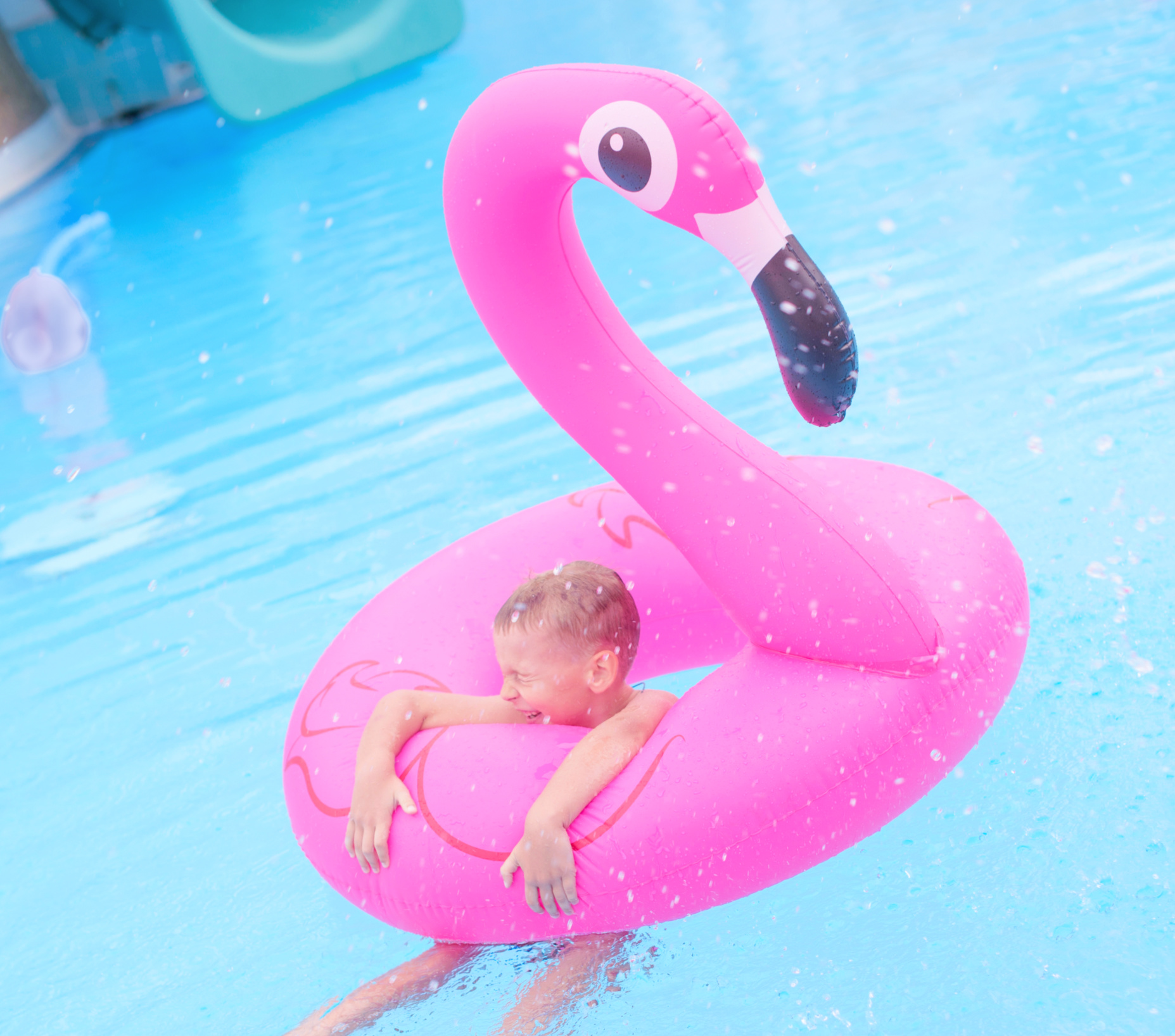 flamingo pool float