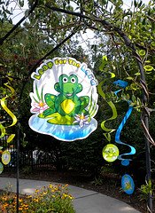 frog party decorations