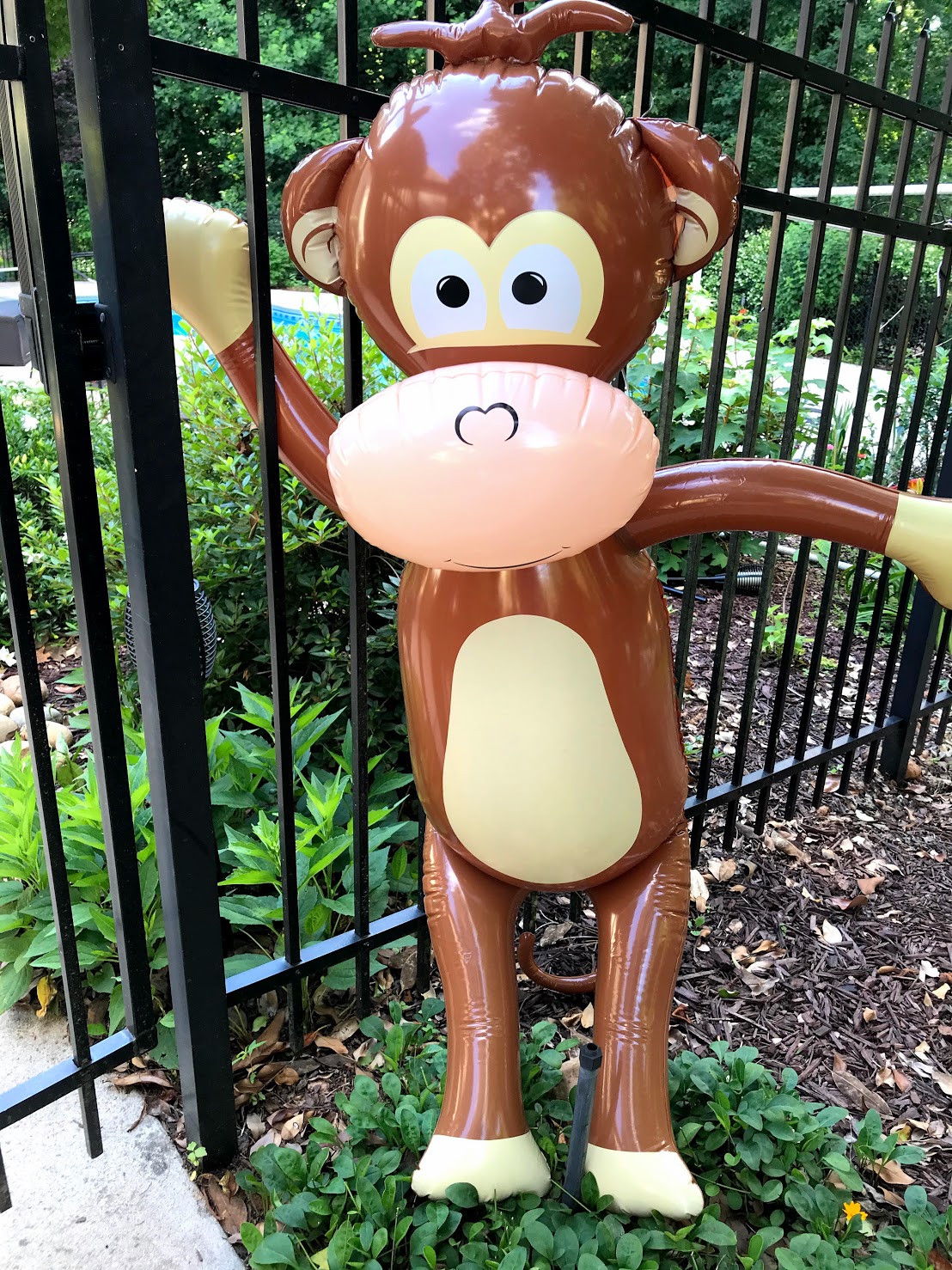 inflatable monkey