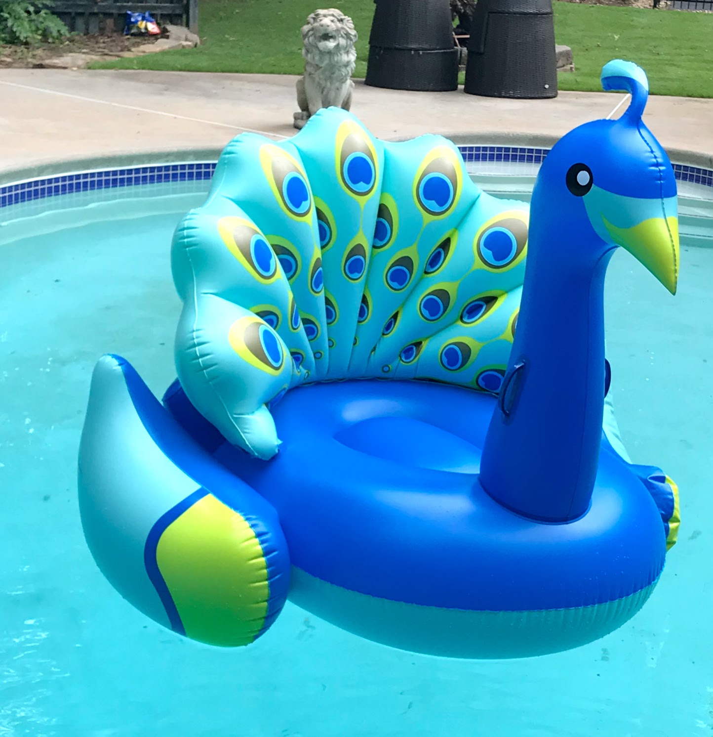 cool pool toys