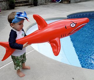 shark pool party